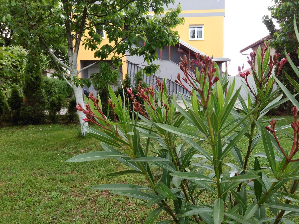 Apartmani Jasmina 2 Bihać Exterior foto