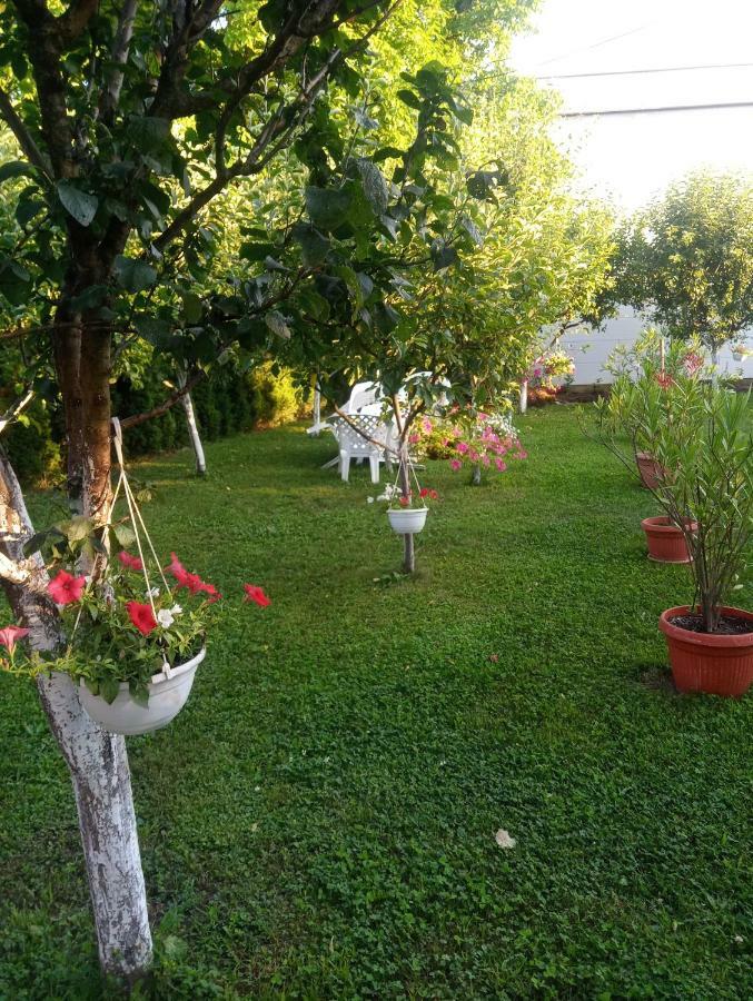 Apartmani Jasmina 2 Bihać Exterior foto